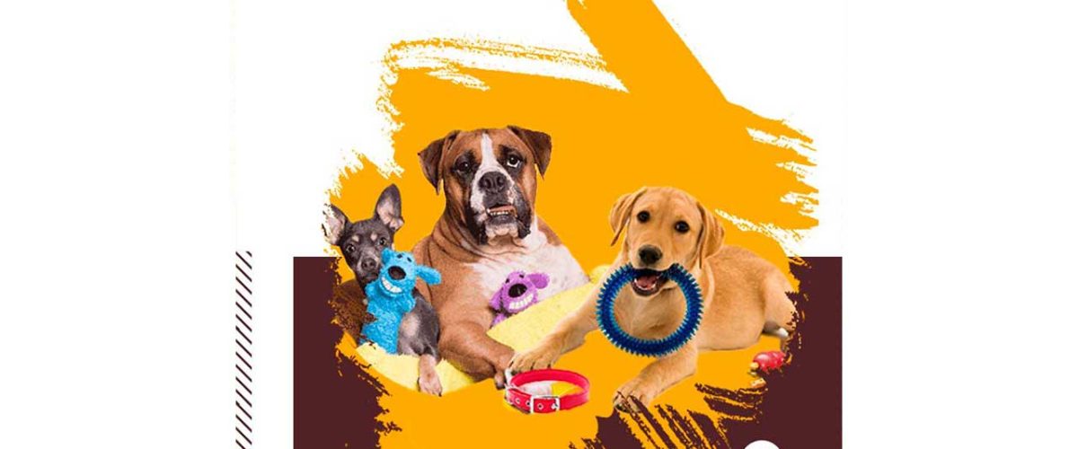 شیوه-بازی-کردن-با-سگ-و-آموزش-چند-نوع-بازی-محبوب-2