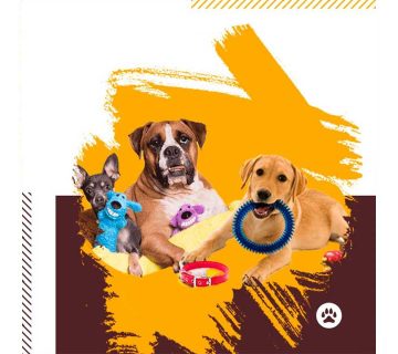 شیوه-بازی-کردن-با-سگ-و-آموزش-چند-نوع-بازی-محبوب-2