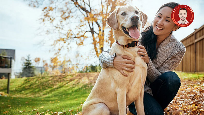 نکات نگهداری از سگ ها