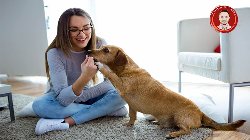 نکات نگهداری از سگ