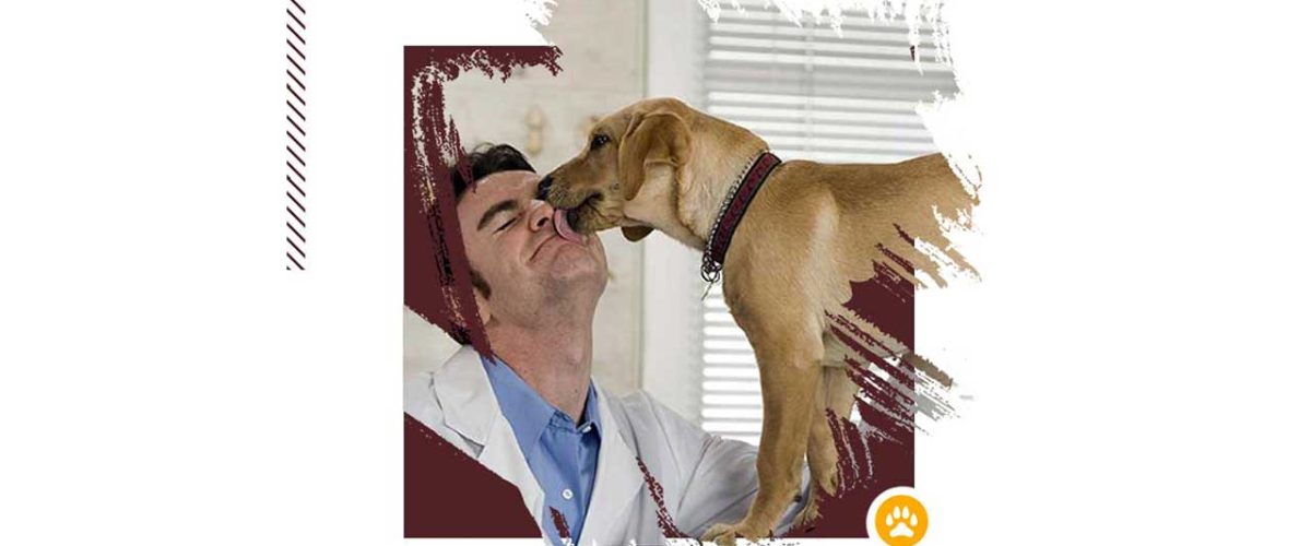 ۷-نکته-مهم-و-طلایی-در-نگهداری-از-سگ-1