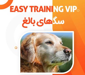 دوره جامع تربیت سگ VIP