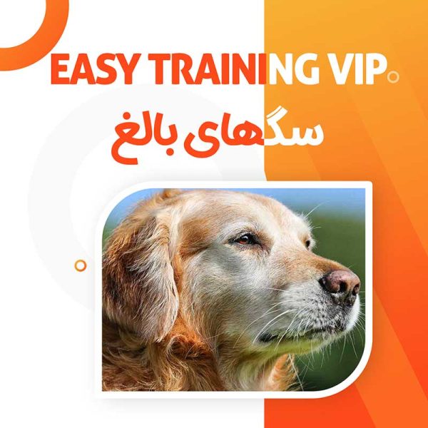 دوره جامع تربیت سگ VIP