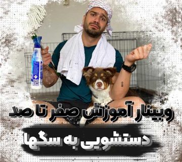 آموزش صفر تا صد جای دستشویی به سگ