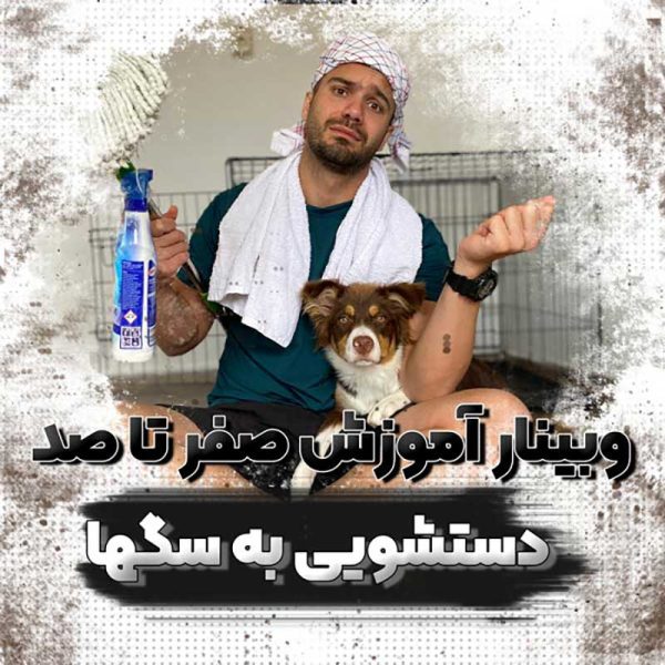 آموزش صفر تا صد جای دستشویی به سگ