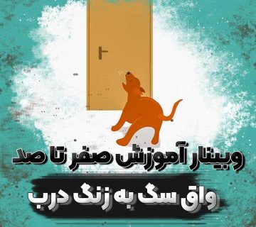 آموزش صفر تا صد واق سگ به زنگ درب
