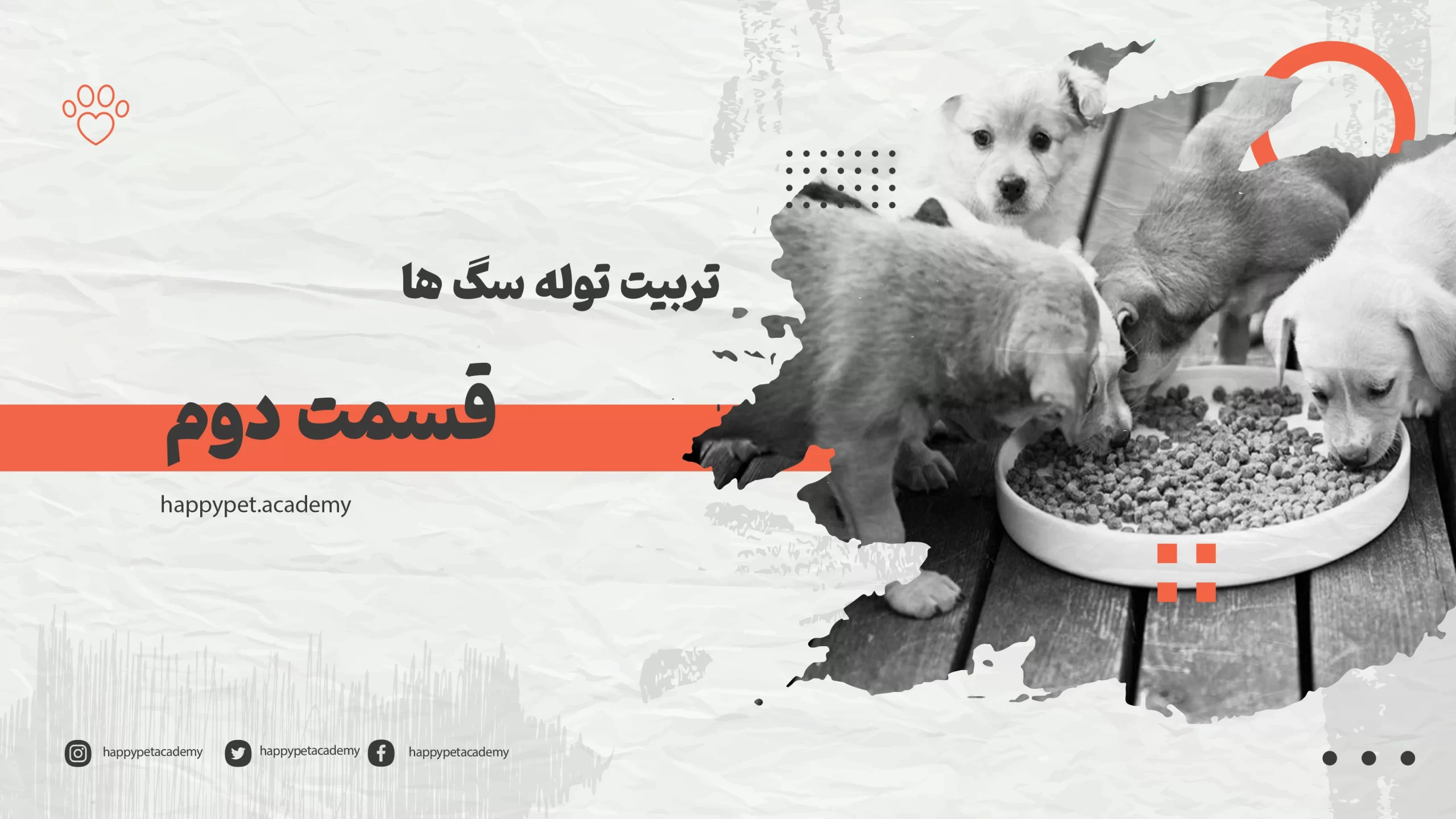 تربیت-توله سگ-