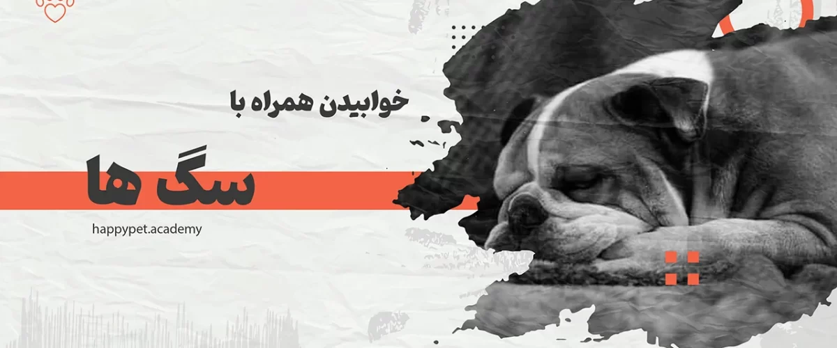 خوابیدن-همراه-با-سگ-ها