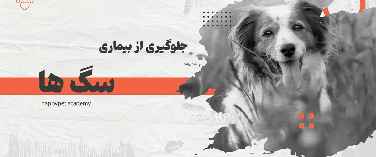 مراقبت از سگ