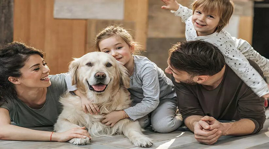 نقش سگ خانگی