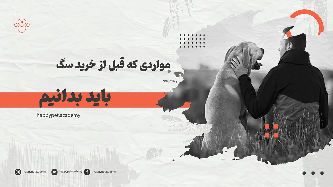 چگونه بفهمیم آمادگی خرید سگ داریم 1 خرید-سگ