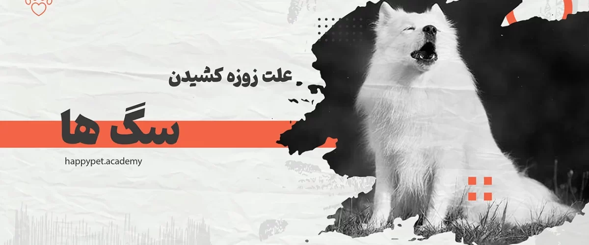 زوزه-کشیدن-سگ