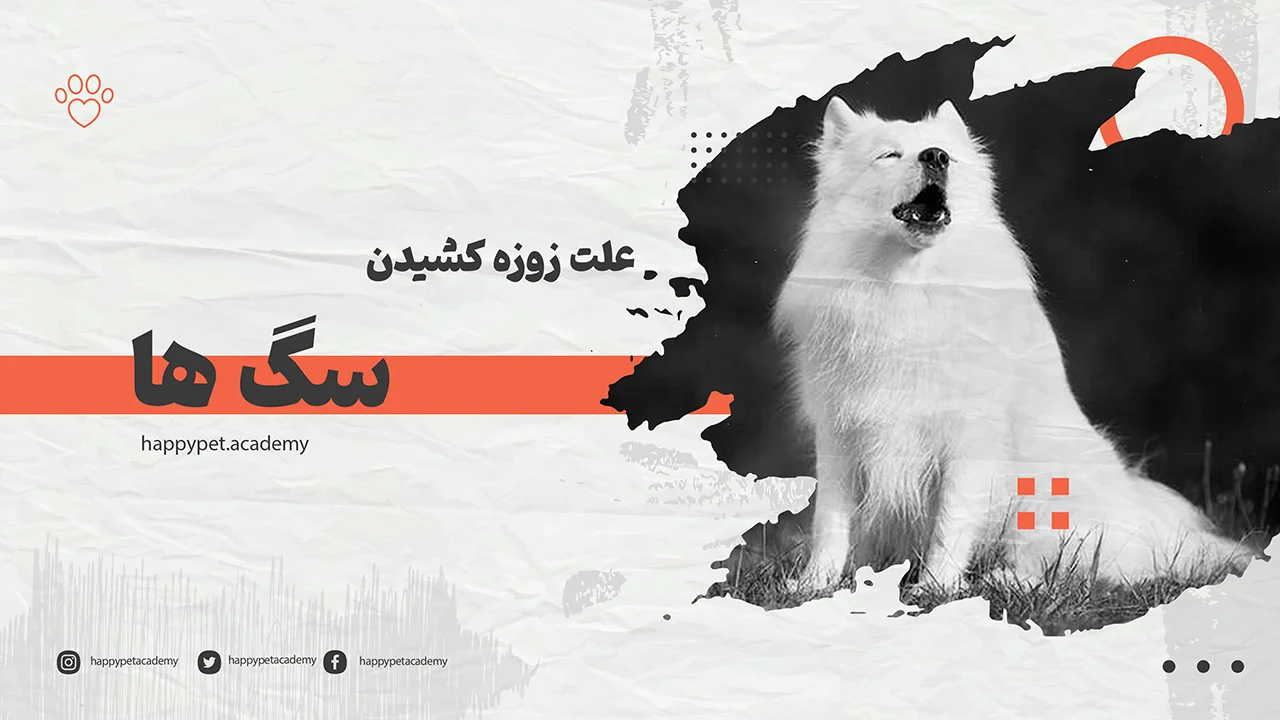 زوزه-کشیدن-سگ