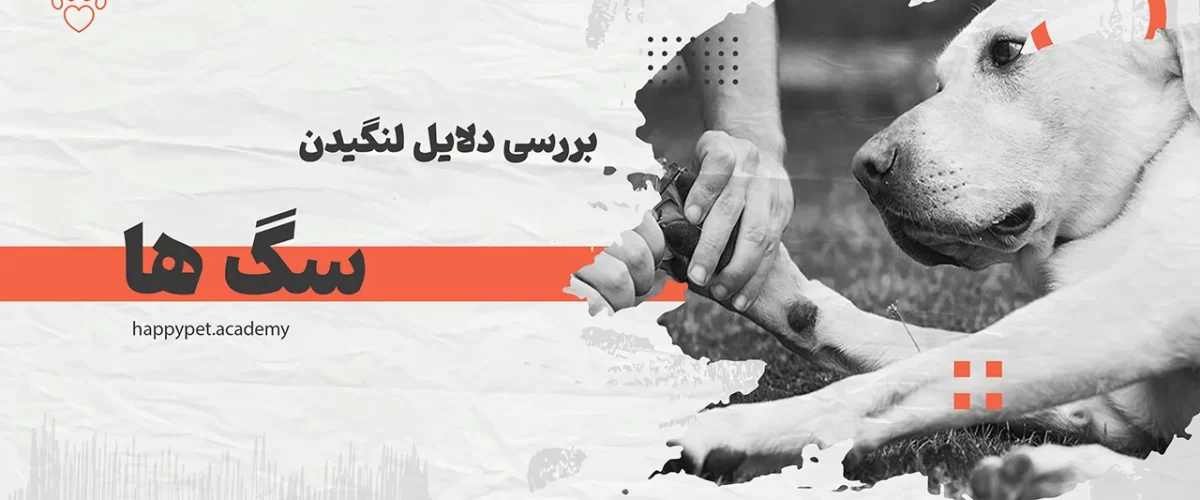 علت-لنگیدن-سگ-ها