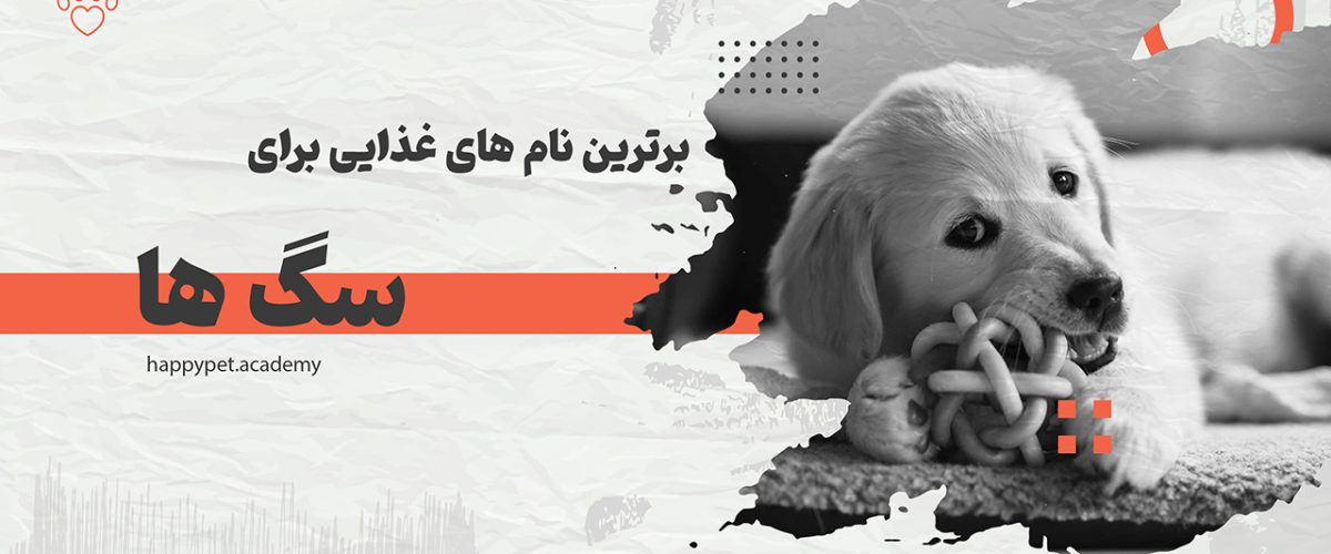 نام-غذاها-برای-سگ