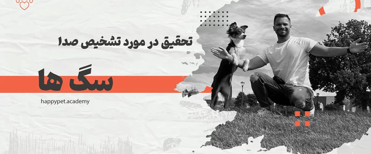 گفتگو-با-سگ-ها