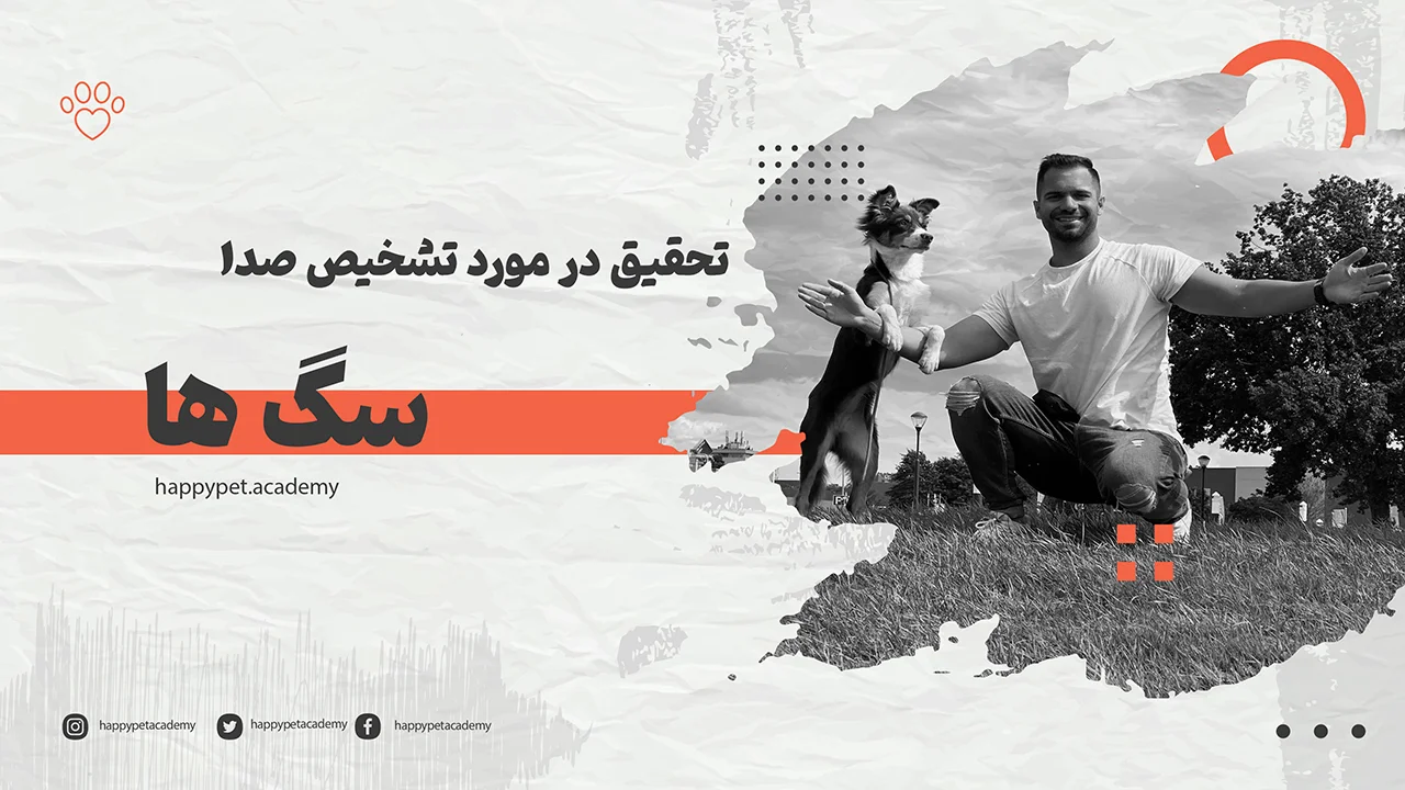 آیا سگ ها می توانند زبان های مختلف را بفهمند؟ 1 گفتگو-با-سگ-ها