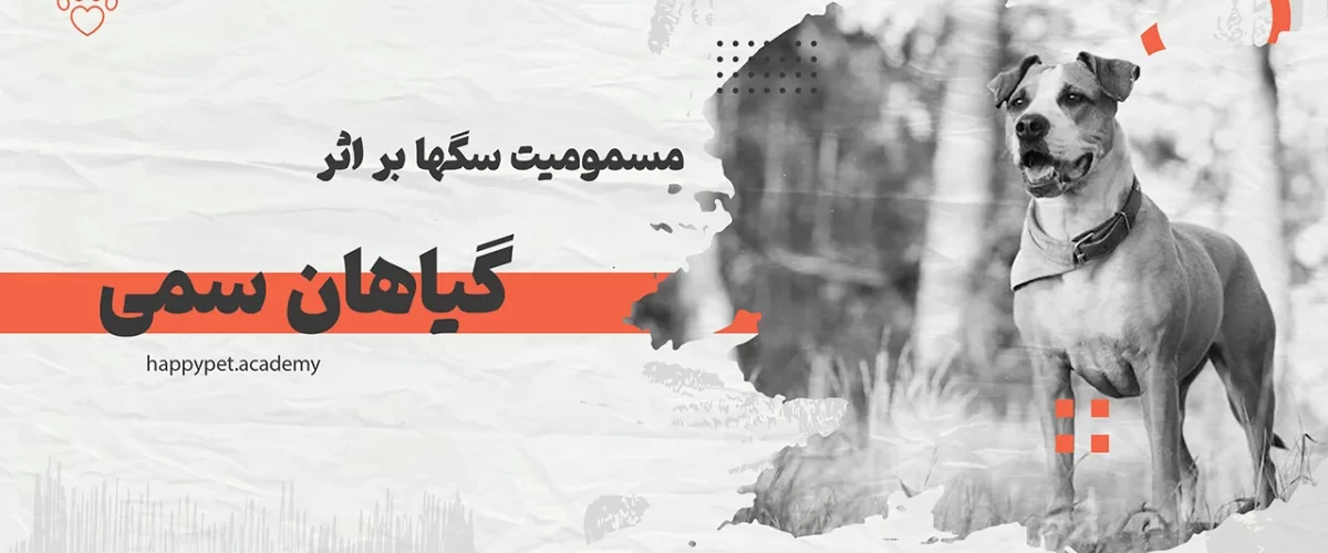 گیاهان-سمی-برای-سگها