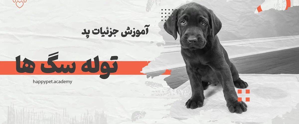 آموزش-پد-سگ