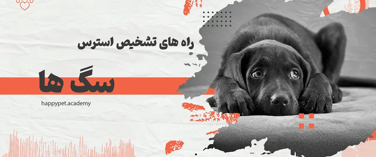 تشخیص استرس سگ