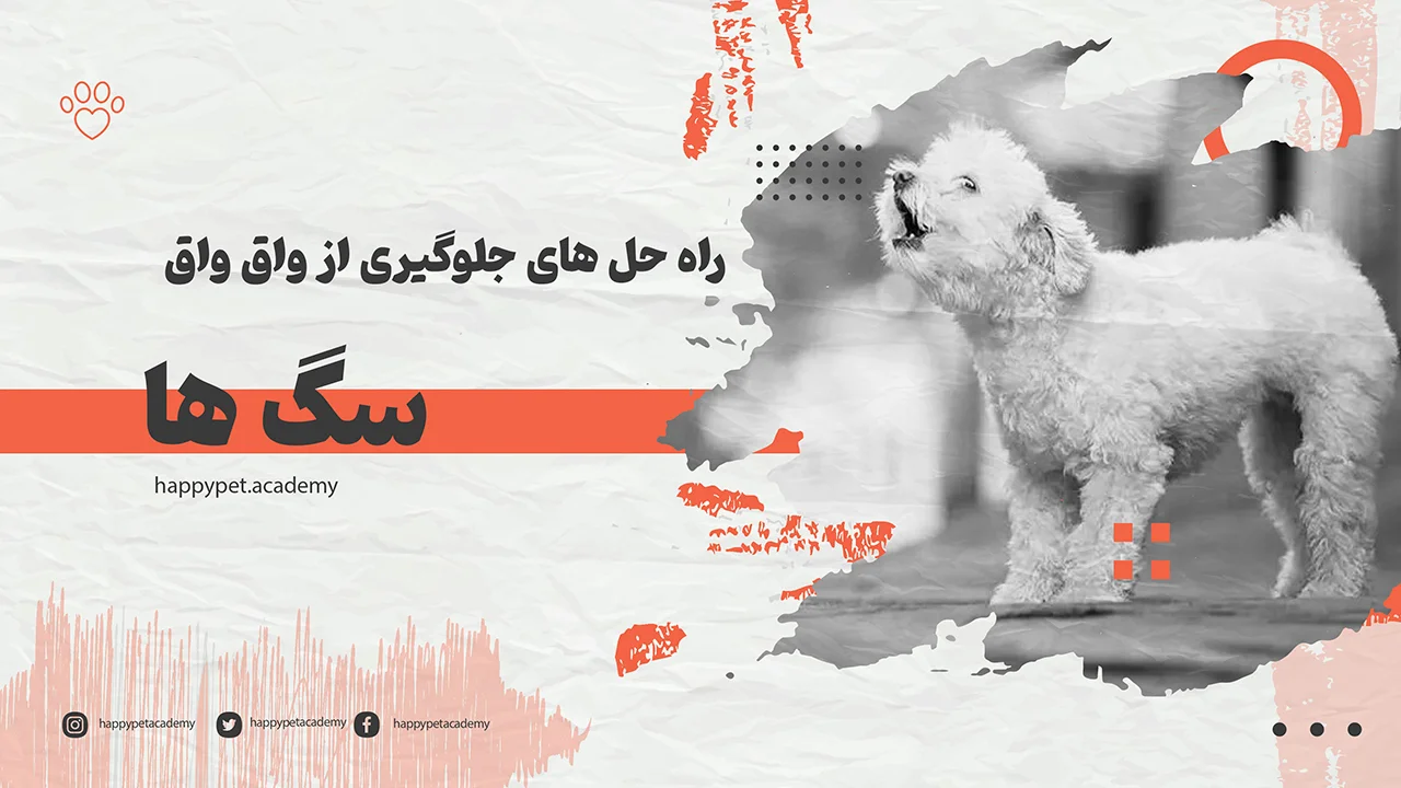 جلوگیری-از-واق-واق-سگ