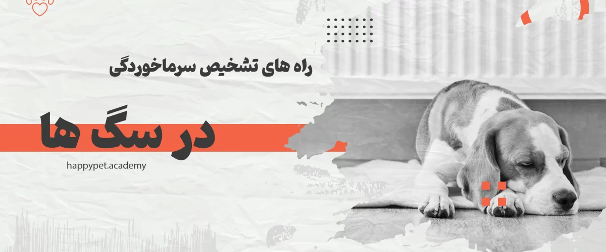 سرماخوردگی-سگ-ها