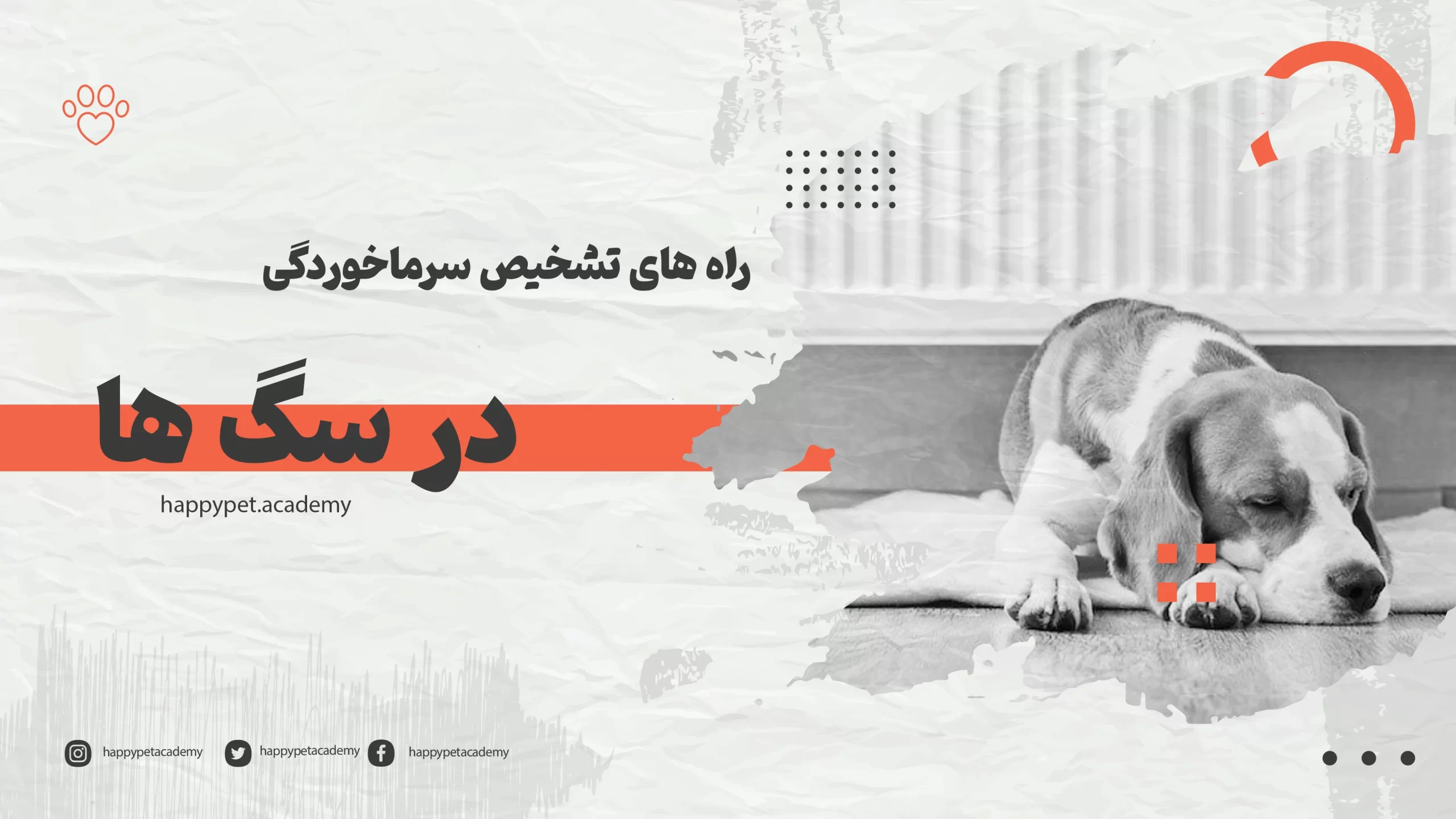 نکاتی در مورد سرماخوردگی سگ ها 1 سرماخوردگی-سگ-ها