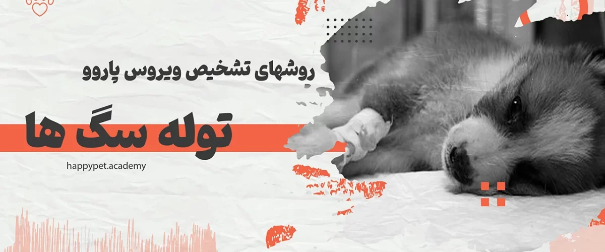 پاروو-ویروس-توله-سگ