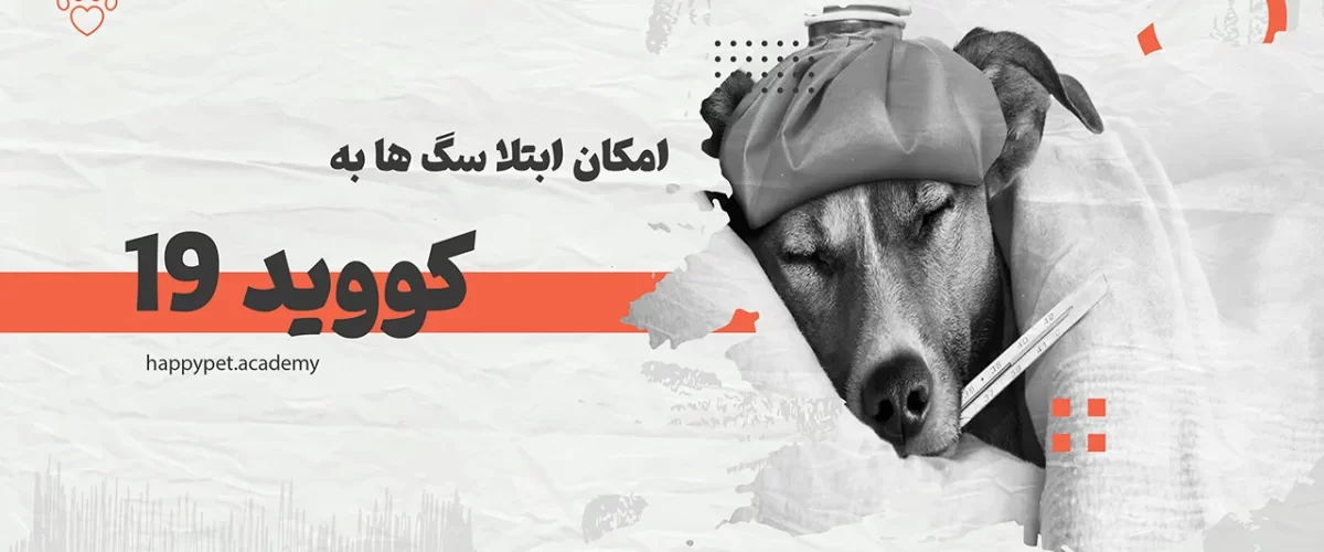 کرونا-در-سگ