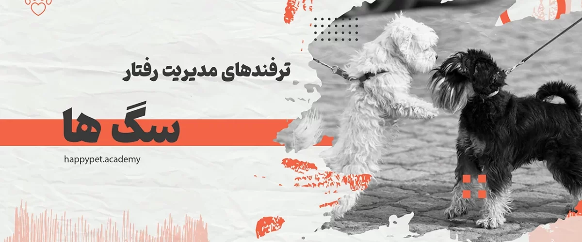 کنترل-رفتار-سگ