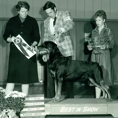 Rottweiler-History-02