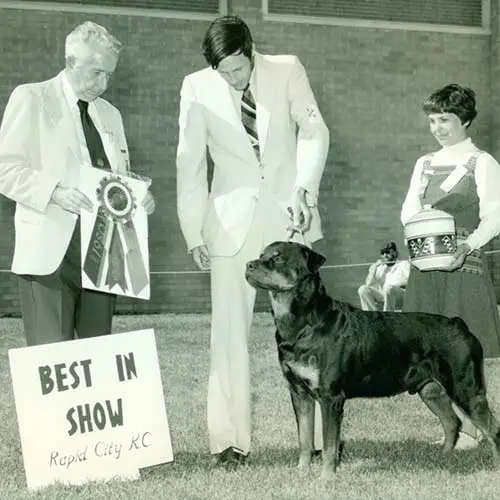 Rottweiler-History-05