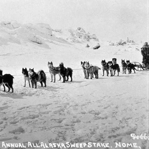 Siberian-Husky-History-01