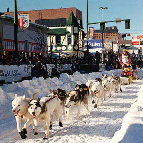 Siberian-Husky-History-02