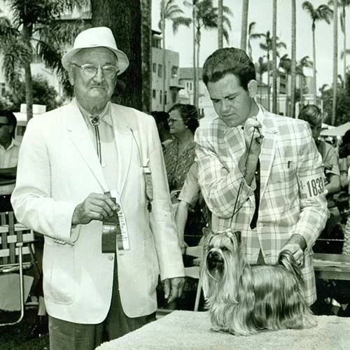 نژاد سگ ورکشایر تریر 5 Yorkshire-Terrier-History-01