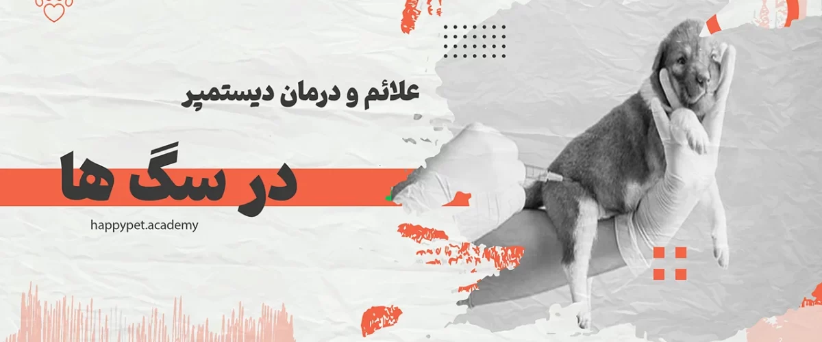 دیستمپر-در-سگ