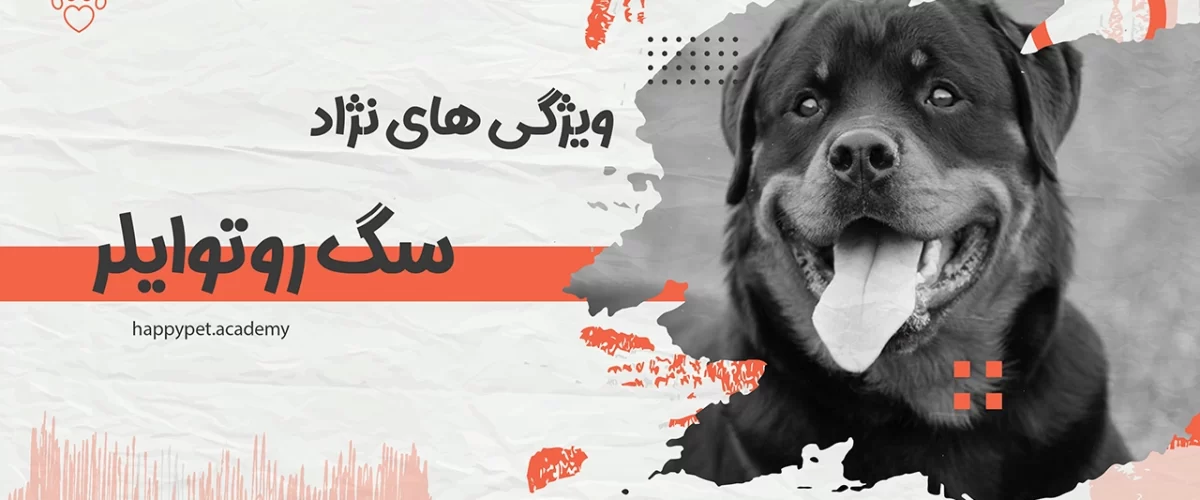 سگ-روتوایلر