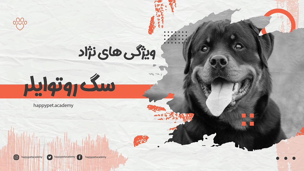 سگ-روتوایلر