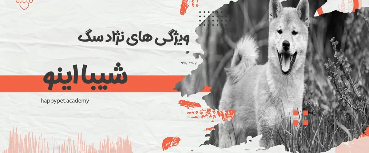 سگ-شیبا-اینو