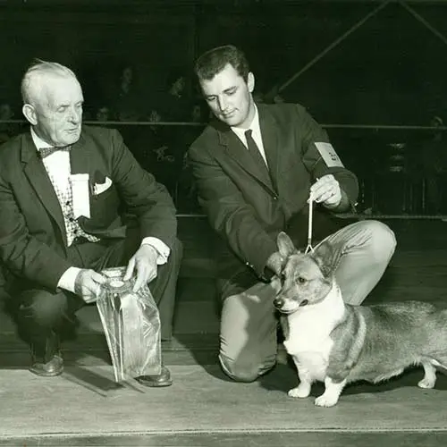 Pembroke-Welsh-Corgis-History-05