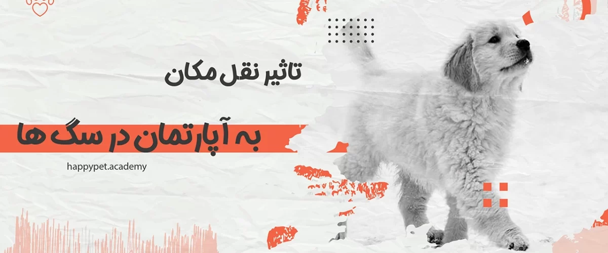 تاثیر نقل مکان در سگ