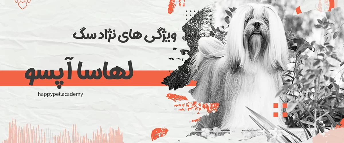 سگ-لهاسا-آپسو