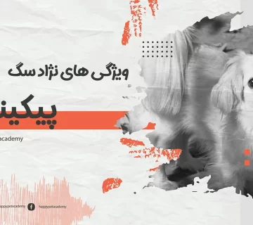 سگ-پیکینیز