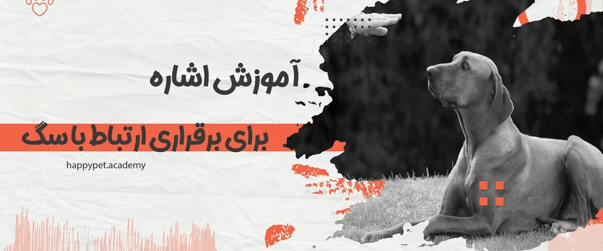 آموزش اشاره برای سگ