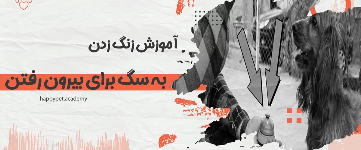 آموزش-زنگ-زدن-به-سگ