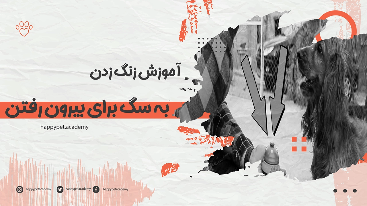 آموزش-زنگ-زدن-به-سگ