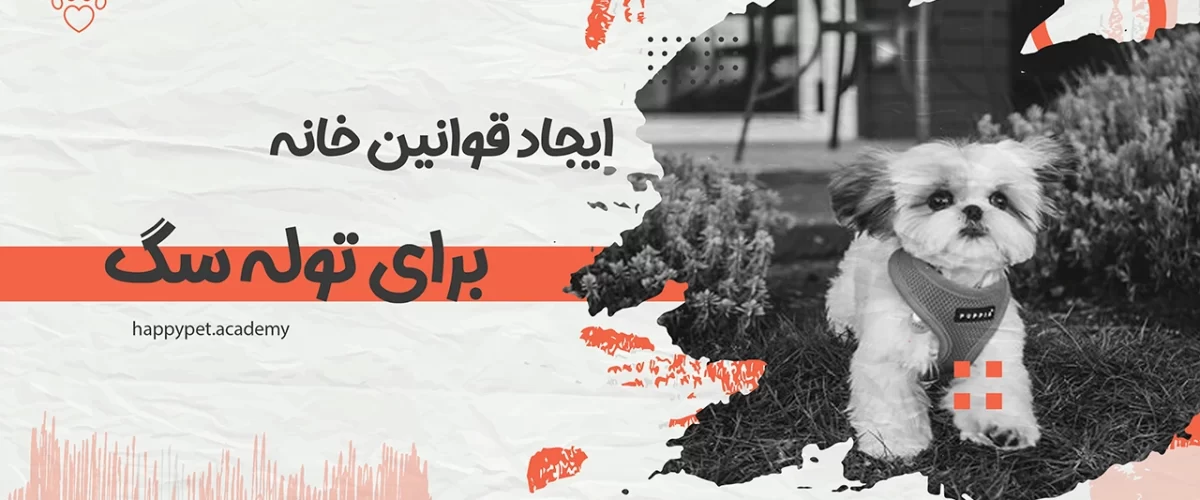 قوانین-خانه-برای-توله-سگ