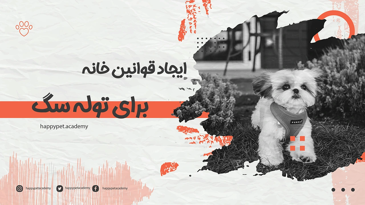 قوانین-خانه-برای-توله-سگ