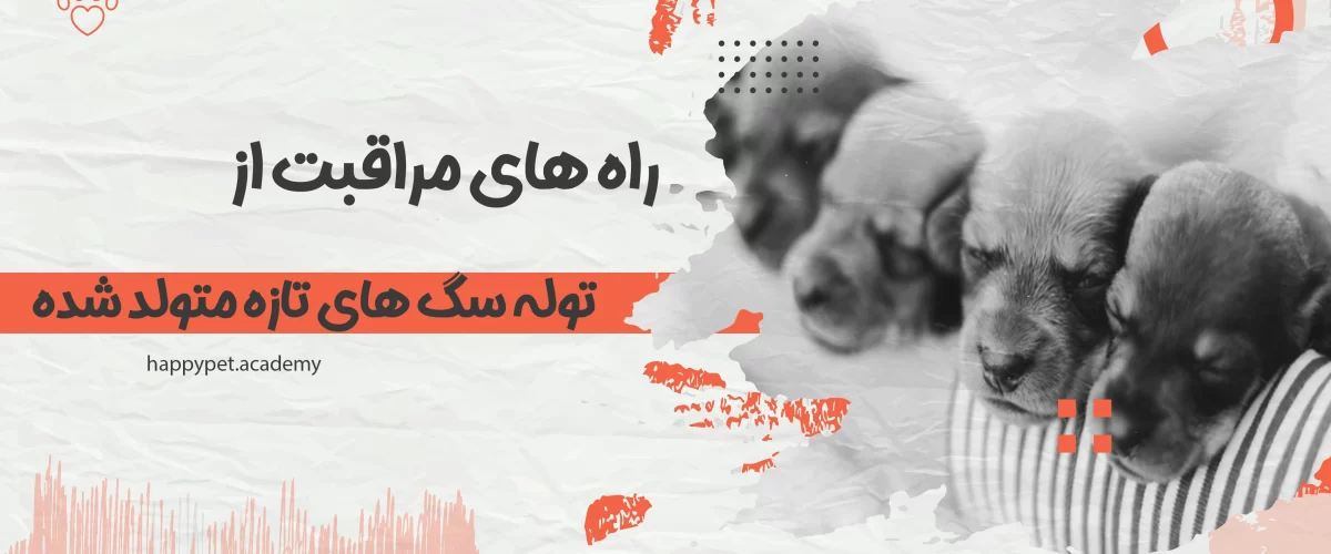 مراقبت از توله سگ ها
