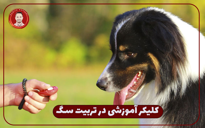 آموزش اشاره برای ارتباط با سگ | کلیکر برای تربیت سگ 2 کلیکر آموزشی در تربیت سگ